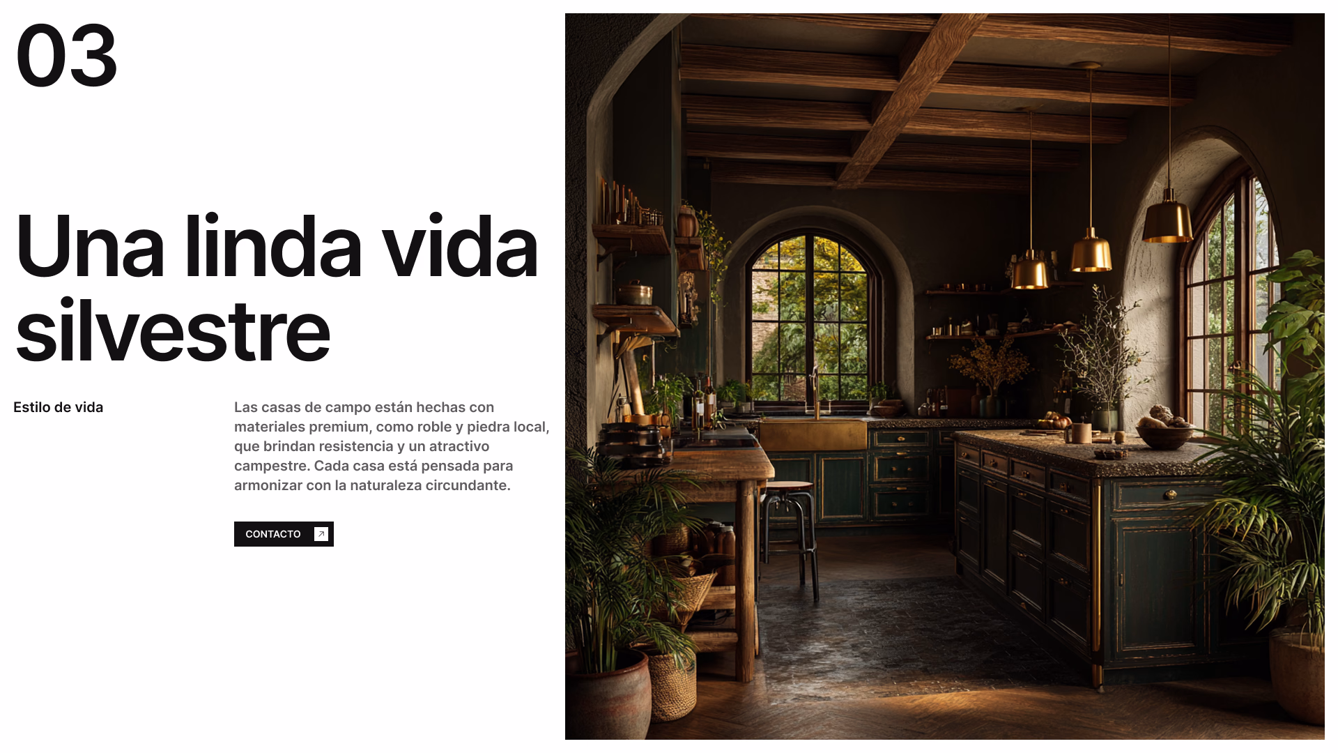 Sección «Una linda vida silvestre» con cocina rústica