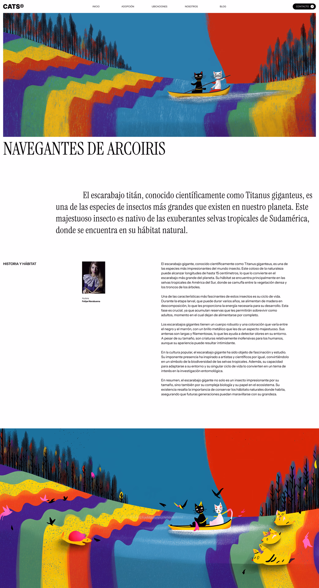 Composición «Navegantes de arcoíris» con ilustración de gatos navegando sobre un río de colores