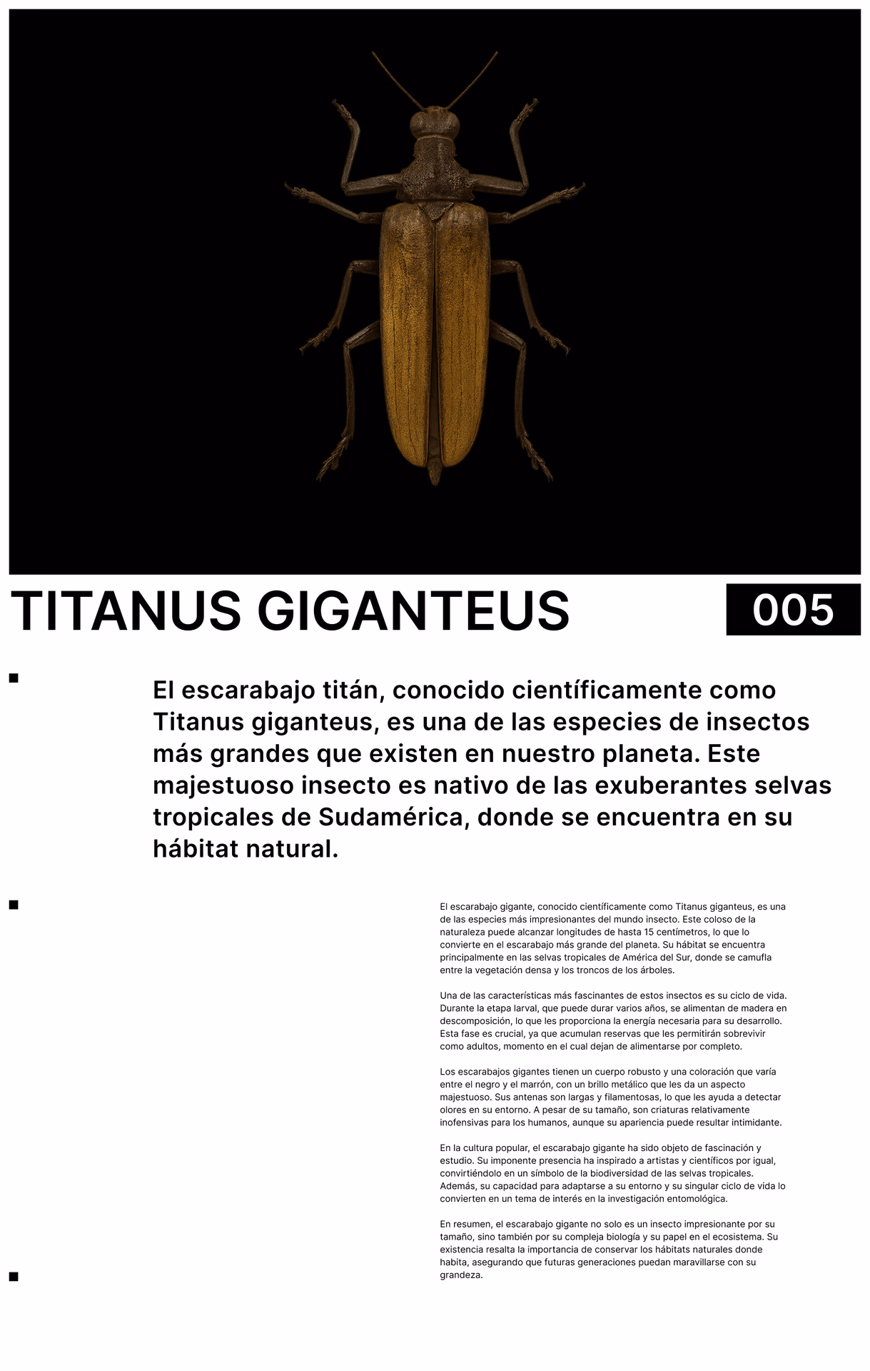 Ficha editorial «Titanus giganteus» con fotografía de un escarabajo sobre fondo negro